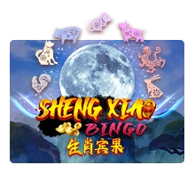 Sheng Xiao Bingo - SPACEMANSLOT88