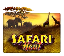 Safari Heat - SPACEMANSLOT88