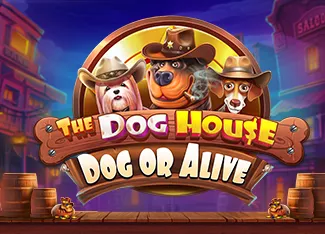 The Dog House - Dog or Alive - SPACEMANSLOT88