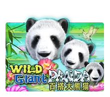 Wild Giant Panda - SPACEMANSLOT88