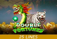 Double Fortunes - SPACEMANSLOT88