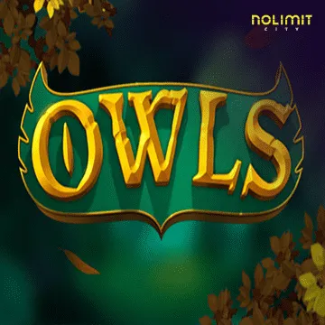 Owls - SPACEMANSLOT88
